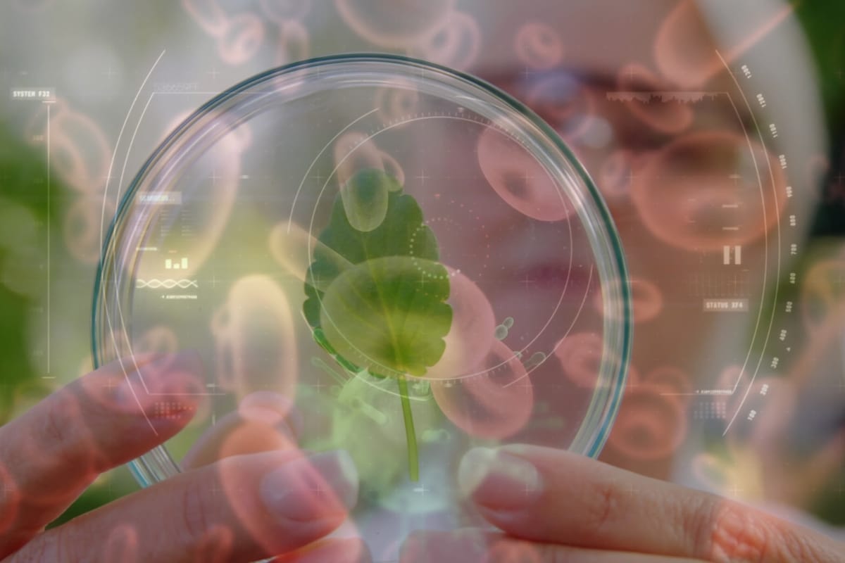 sustainable laboratory